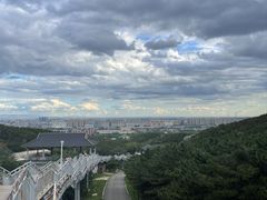 -大青山野生动物园