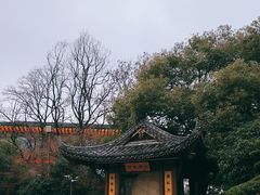 -绳金塔