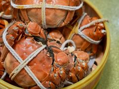 -七的湖·江南蟹舫·阳澄湖农家菜(蟹舫苑店)