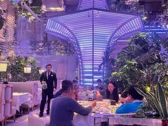 -桂满陇·杭州小馆(朝阳合生汇店)