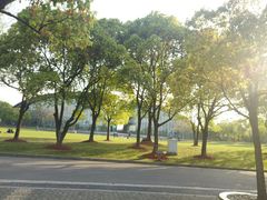 -吴淞炮台湾湿地森林公园烧烤区