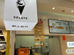 -野人先生现做冰淇淋(西安赛格店)