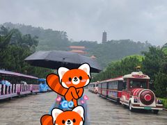 -南沙天后宫景区
