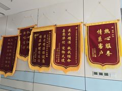 -中农国际动物医院24小时·猫科·骨科·急重症中心