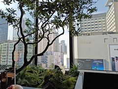 -雍容荟活波龙自助餐(IFS黑金店)