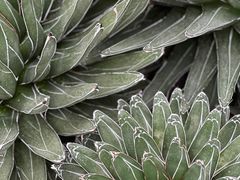 -北京植物园-展览温室