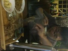 -HIHE Bistro·Oyster Bar(华熙live店)