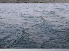-西湖游船