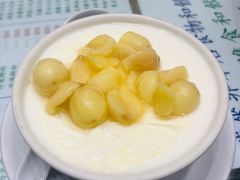 冻莲子双皮奶-义顺牛奶公司(新马路老店)