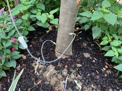 -嘉善路(地铁站)