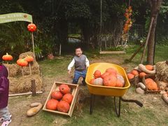 -HERRE·FARM 赫尔露营农场·团建聚会包场