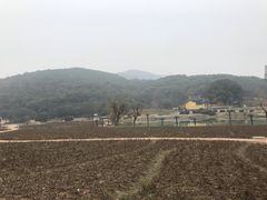-龙寺生态园