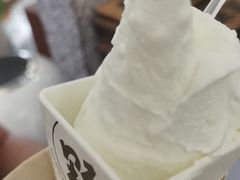 -野人先生Gelato(上海长宁龙之梦店)