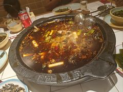 -费明中罗非鱼(大石坝店)