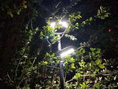 -英皇电影城(英皇集团中心IMAX店)