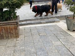 -迪庆藏族自治州博物馆