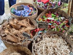 -大象粑粑造纸公园