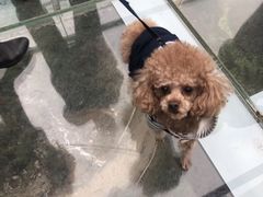 -梦幻奥陶纪景区