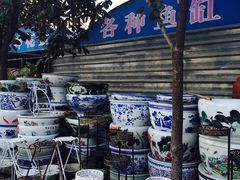 -保定市花鸟鱼虫市场