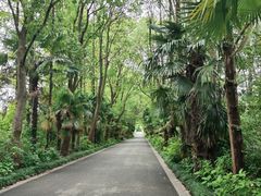 -同里国家湿地公园