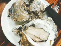 桑拿生蚝-飞尝蚝·顺德菜·鱼生(顺德总店)
