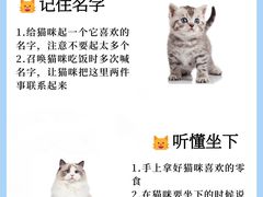 -申普宠物医院·眼科·心内科·影像科(普陀分院)
