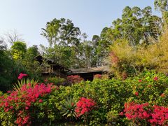 -深圳国际园林花卉博览园