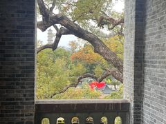 -江心屿景区