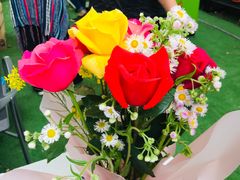 -海上花岛玫瑰园采摘