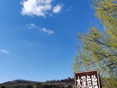 -羊山湖公园
