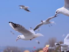 -捞渔河湿地公园