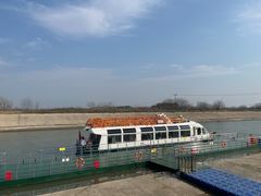 -合肥滨湖国家森林公园