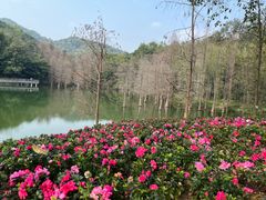 -广州市白云山风景名胜区