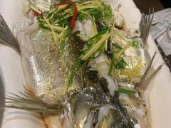 -醉美东江·三文鱼·烧鸡公