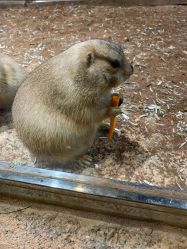 点击看大图 -宝燕乐园(闵行旗舰店)