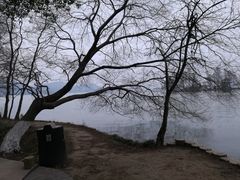 -东湖落雁景区