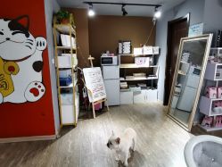 -IDEA·艾蒂尔科技美肤·日式美甲美睫集合店