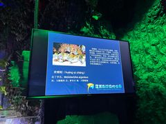 -蓬莱欧乐堡海洋极地世界