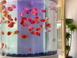 -新蝶变皮肤管理中心