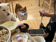 -柴の食堂·日式家庭料理·熊之肆(大学路店)