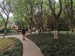 -瀛洲公园