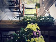 春暖花开餐厅(西溪店)-春暖花开(西溪店)