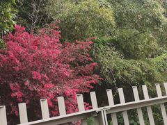 -福道