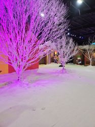 -圣名游乐城冰雪大世界