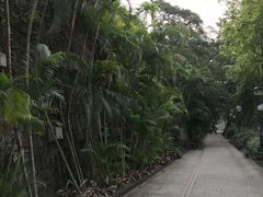 -九龙公园