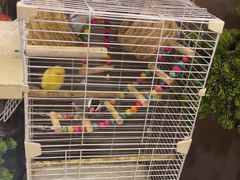 -长湘居(数码大厦店)