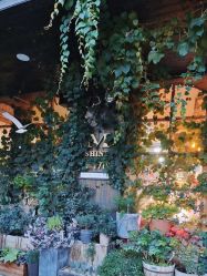 -青木造型HAIR·あおき髪を刈る潮人店