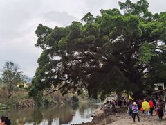 -福建土楼（南靖）云水谣景区-和贵楼