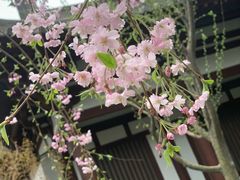 -西安青龙寺遗址景区