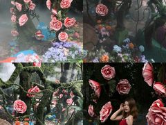 -洛阳白云山景区